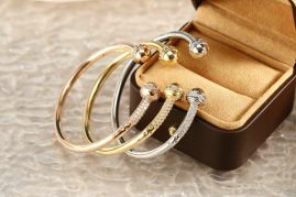 Picture for category Piaget Bracelet